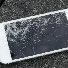 Bring Down The Birds 2