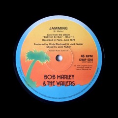 Bob Marley, Fisher - Jamming (YinYang Edit)
