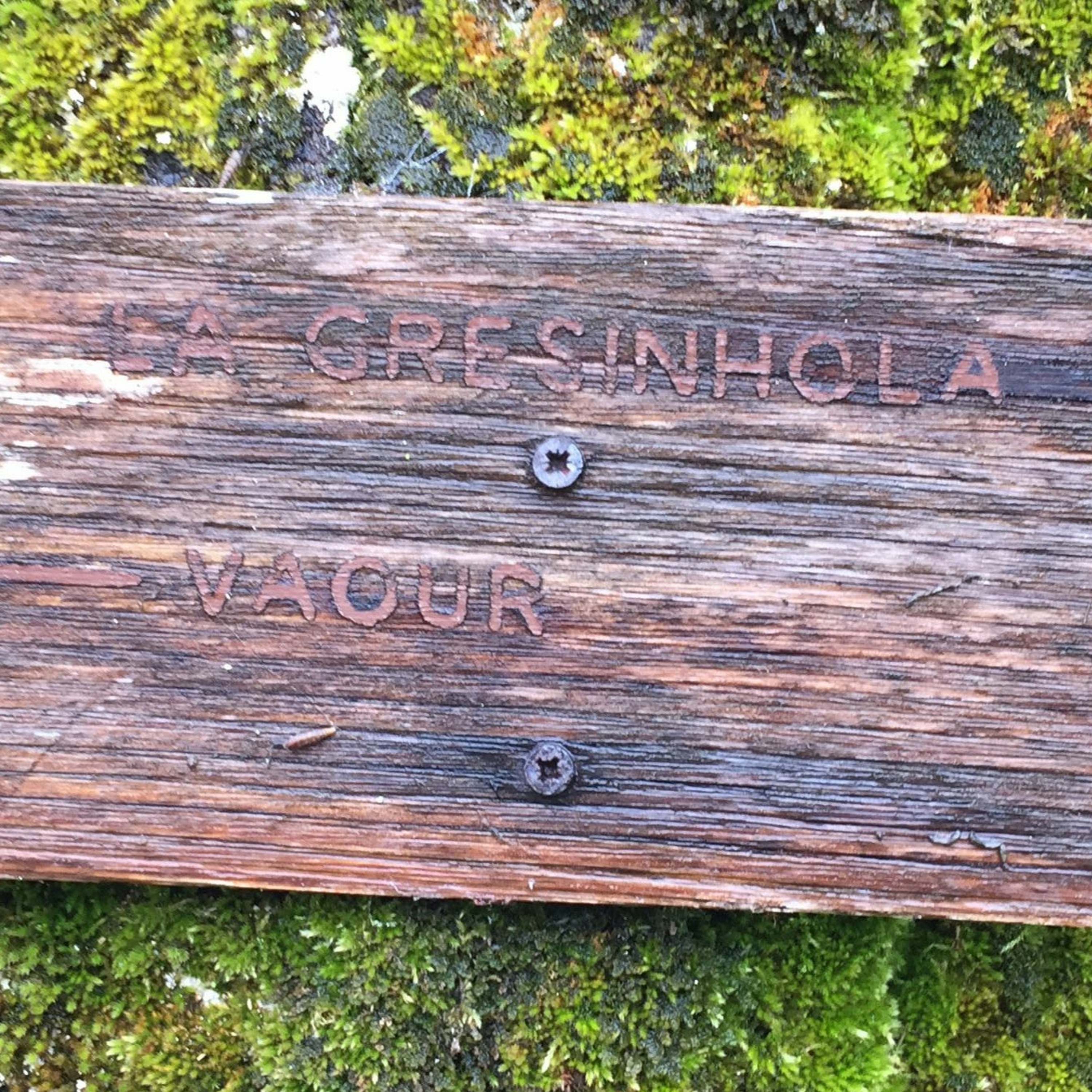 Concert Betty Ovette & N.Lafourest