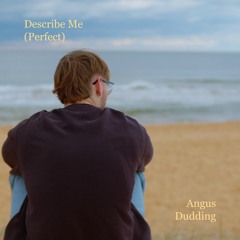 Describe Me (Perfect)