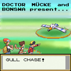 [PREMIERE] BONSWA x DOCTOR MÜCKE - GULL CHASE