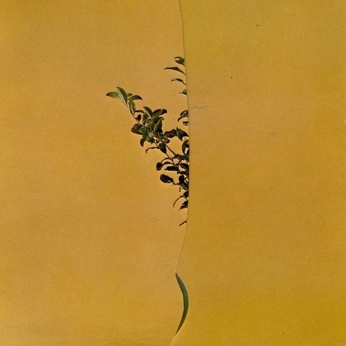 Mixed Signals w/ Beffskee - March 2021