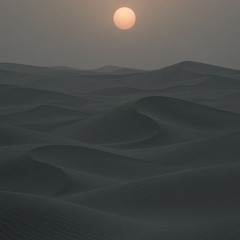 ნიაზ დიასამიძე & 33ა - Hot-Dog