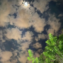 رَبَّنَا وَسِعْتَ كُلَّ شَيْءٍ رَّحْمَةً وَعِلْمًا فَاغْفِرْ لِلَّذِينَ تَابُوا / ماهر المعيقلي