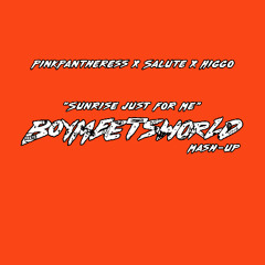 PinkPantheress x Salute x Higgo - Sunrise Just For Me (BOYMEETSWORLD Mashup) (Sammy Virji Remake)