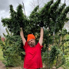 My love will never change Mr.Medi