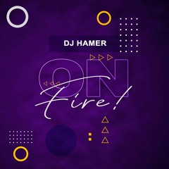 DJ HAMER - ON FIRE! (Rauw Alejandro, Bad Bunny, Sech, Etc.)
