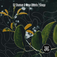 DJ Shaman & Naya Ubuntu - Shaya  (Original Mix)