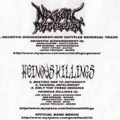Necrotic Disgorgement - Untitled