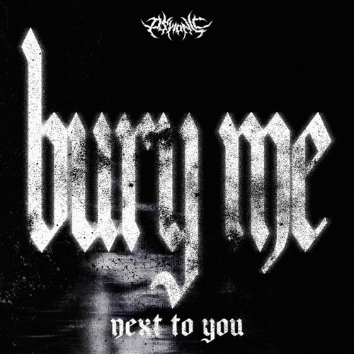 BURY ME NEXT TO YOU