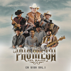 Los Pajaritos Huapango