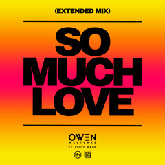 So Much Love (feat. Lloyd Wade) [Extended Mix]