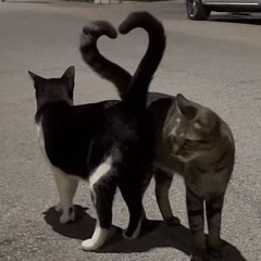 love Nwatiti~ Akustic+sped up