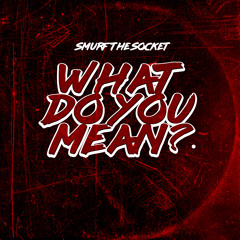 What Do You Mean?