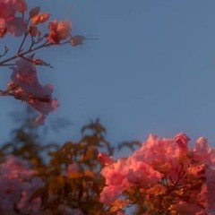 Don't Go (Final Version) by Roo Withey-Stevens