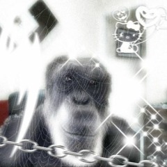 Bobama - Rock Wit Me