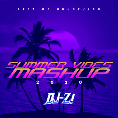 2020 Summer Vibes Mashup #2 *HOUSE / EURO HOUSE* [QUARANTINE HOUSE PARTY EDITION] : Mixed by DJ-Z!
