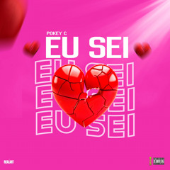 EU SEI