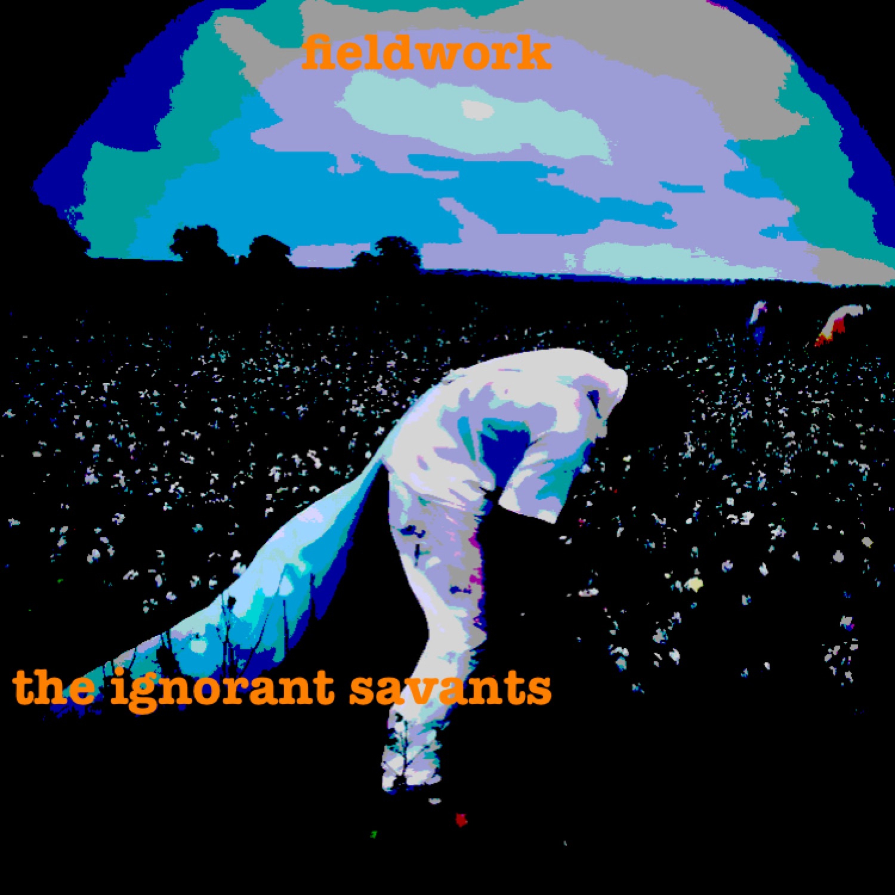 the ignorant savants