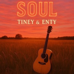 soul tiney x enty