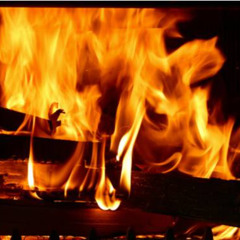 5.Le bois dans le feu