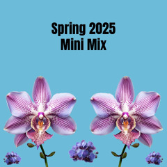 Spring 2025 Mini Mix