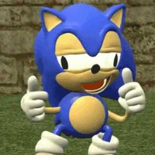 Funny Sonic The Hedgehog