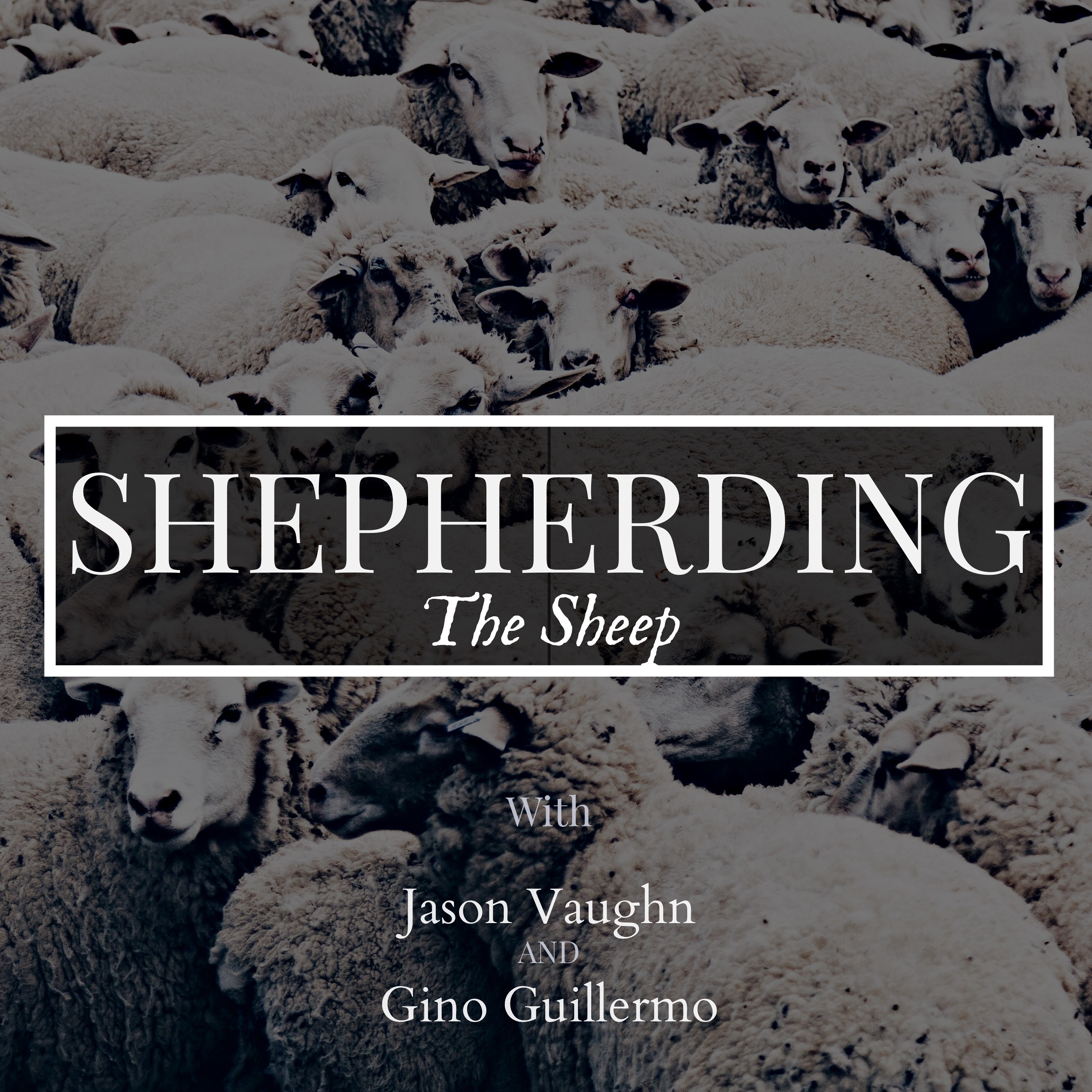 Shepherd the Sheep