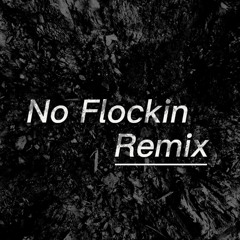 No Flockin Remix