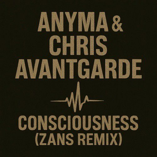 Anyma & Chris Avantgarde - Consciousness (ZANS Remix)