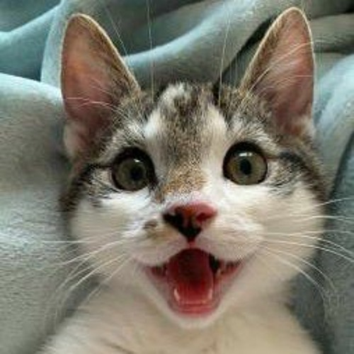 Daisy Bell by Vocoder, IBM704, and VOCALOID4