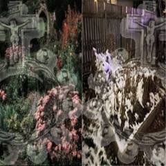 lonely garden