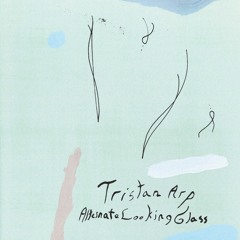 Tristan Arp "Alternate Looking Glass"