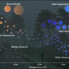 KING SPEEEZY (FEAT. DJ  BLAKK) - WIND  CHILL (LIVE)