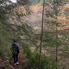 If I Don't Go - Cabin Sessions