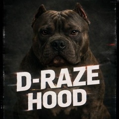 Hood (D-Raze remix)