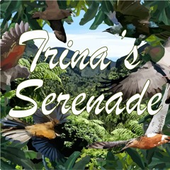 Trina's Serenade