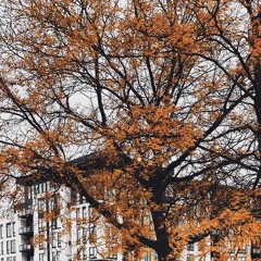 🎃👻☕️🦾🍺🎂🤔