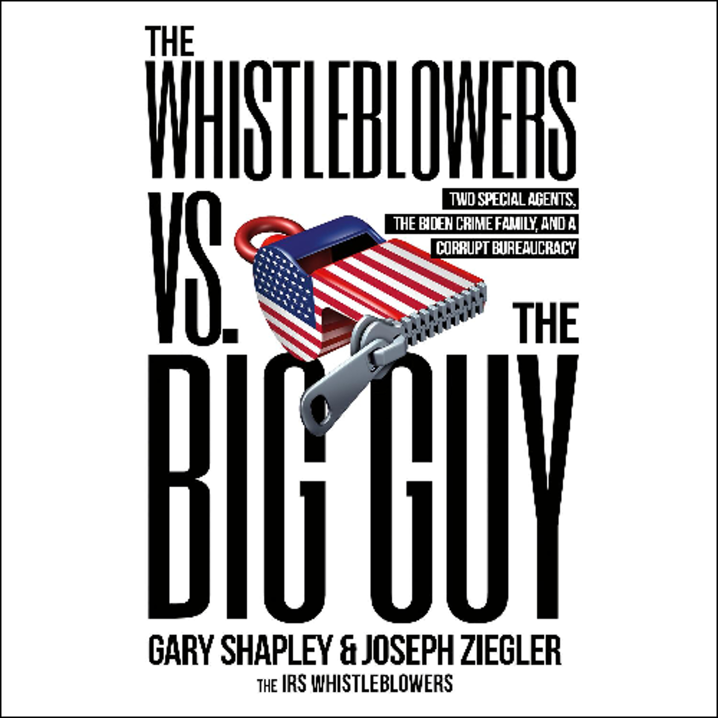 The Whistleblowers vs. The Big Guy by Joe Ziegler and Gary Shapley read by Charles Constant