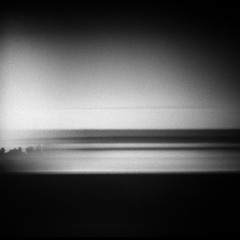 Grey Edit (Free Download)
