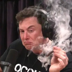 elon musk - all gas no breaks