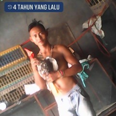 The Upload