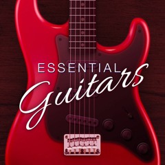 FLEX | Essential Guitars and Essential Bass Guitars