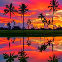 Ark F Noah - Der Untergang.mp3