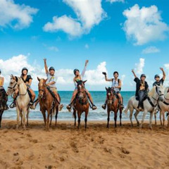 Review Special Price Luquillo Beach Horse Ride From Carabal Rainforest Adventure Park