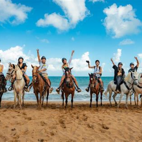 Review Special Price Luquillo Beach Horse Ride From Carabal Rainforest Adventure Park
