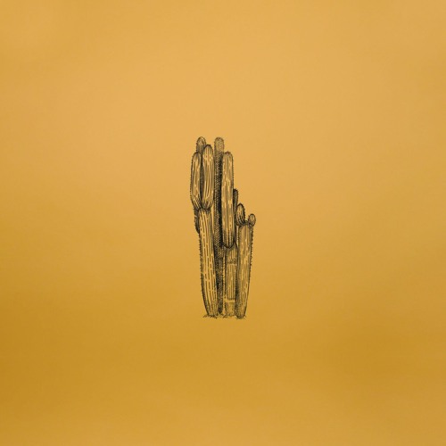 2. Demuja - Now You Know