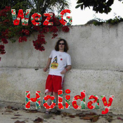 Wez G - Holiday