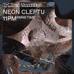 Neon Cleptu 16 → Harald Uunk