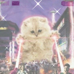 Dont leave ≽^•⩊•^≼